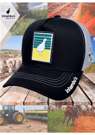 Bon Inhambu's Ave verde e amarelo - Preto