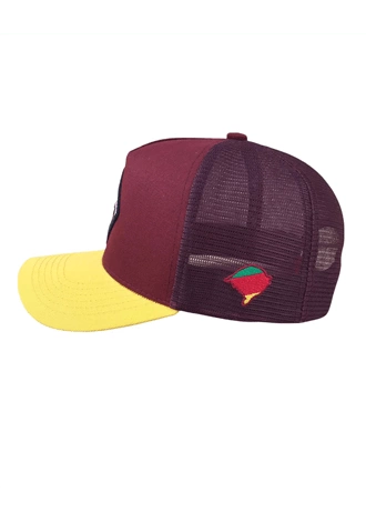 Bon Inhambu's Cavalo Crioulo - Gren